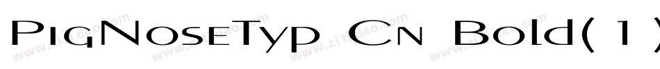 PigNoseTyp Cn Bold(1)字体转换